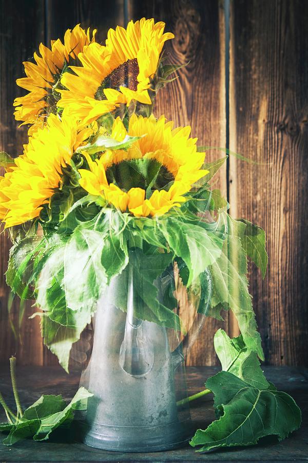 Vase Of Sunflowers; Double Exposure Photograph by Elisabeth Von Plnitz-eisfeld