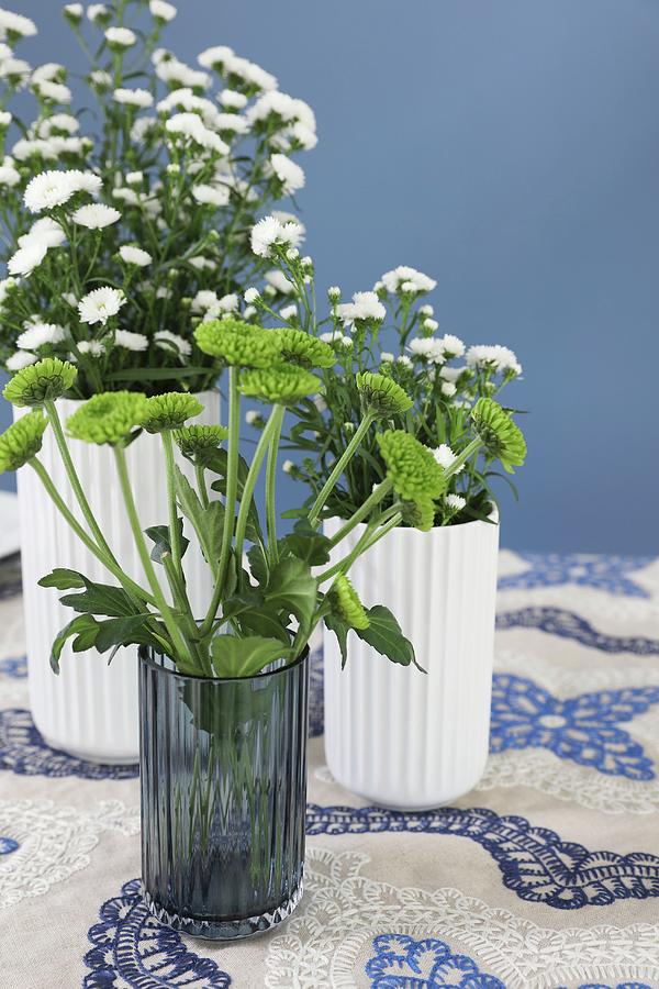 Vases Of Green And White Chrysanthemums On Blue And White Tablecloth Photograph by Annette Nordstrom