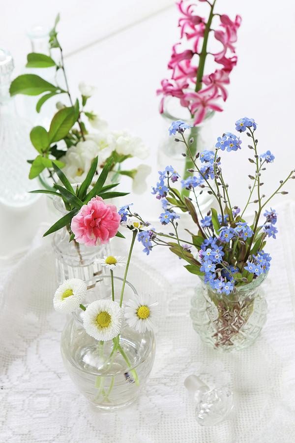 Vases Of Various Flowers: Forget-me-nots, Pinks, Apple Blossom, Daisies, Hyacinth Photograph by Regina Hippel