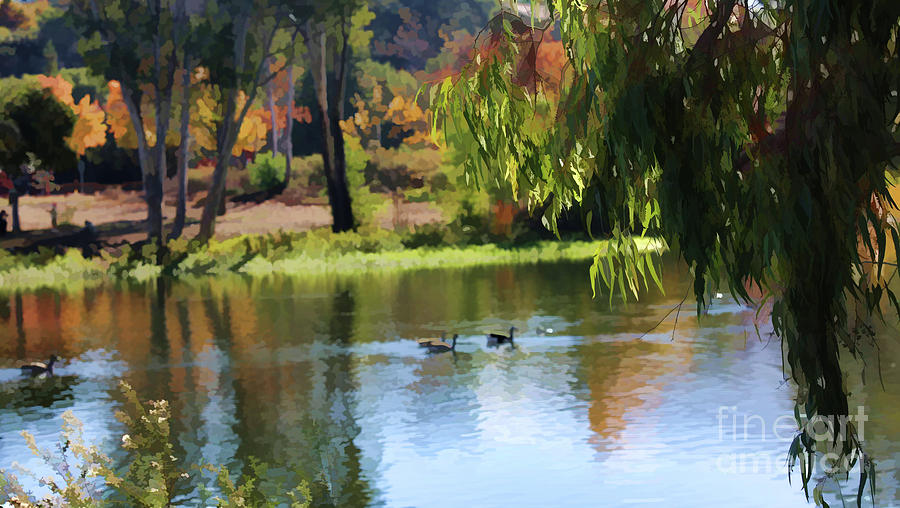 Vasona Lake Los Gatos California Fall Season  Photograph by Chuck Kuhn