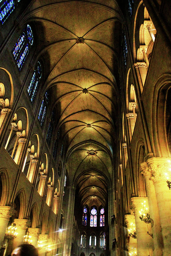 Vault Of Notre Dame Cathedral