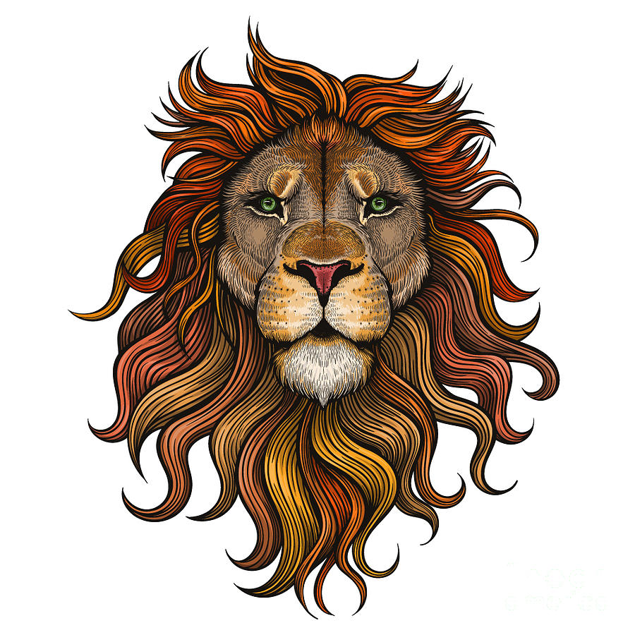 Vector  Color Lion  Illustration Digital Art by Julia Waller