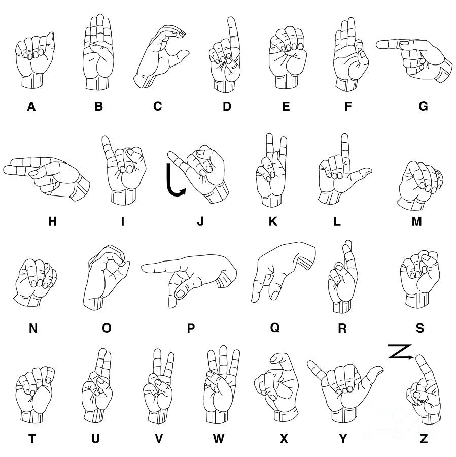 Outlines Digital Art - Vector Illustration Of Sign Language by Basheera Designs