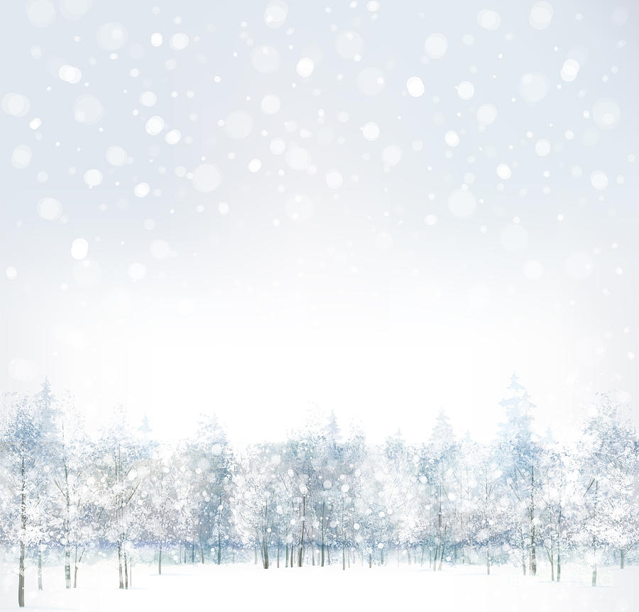 Forest Digital Art - Vector Of Winter Scene With Forest by Rvika Forest Digital Art - Vector Of Winter Scene With Forest by Rvika