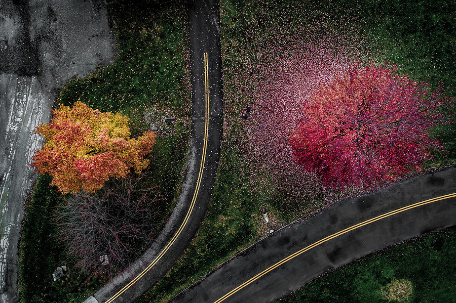 Veering by Nick Smith Veering by Nick Smith