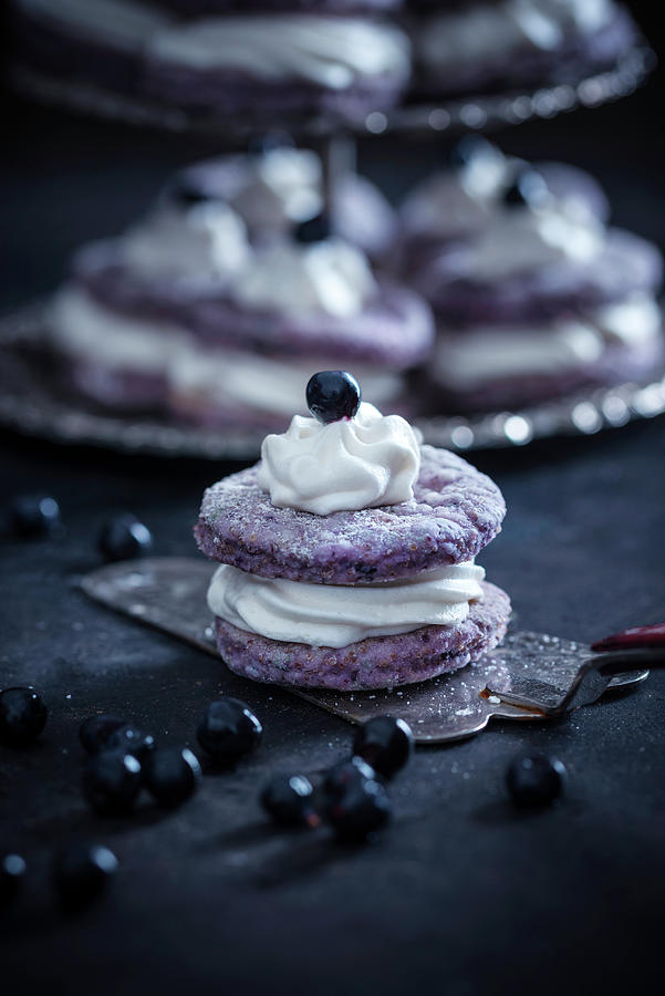 Vegan Blueberry Amaranth Cakes Filled With White Rice Milk And Chocolate Cream Photograph by Kati Neudert