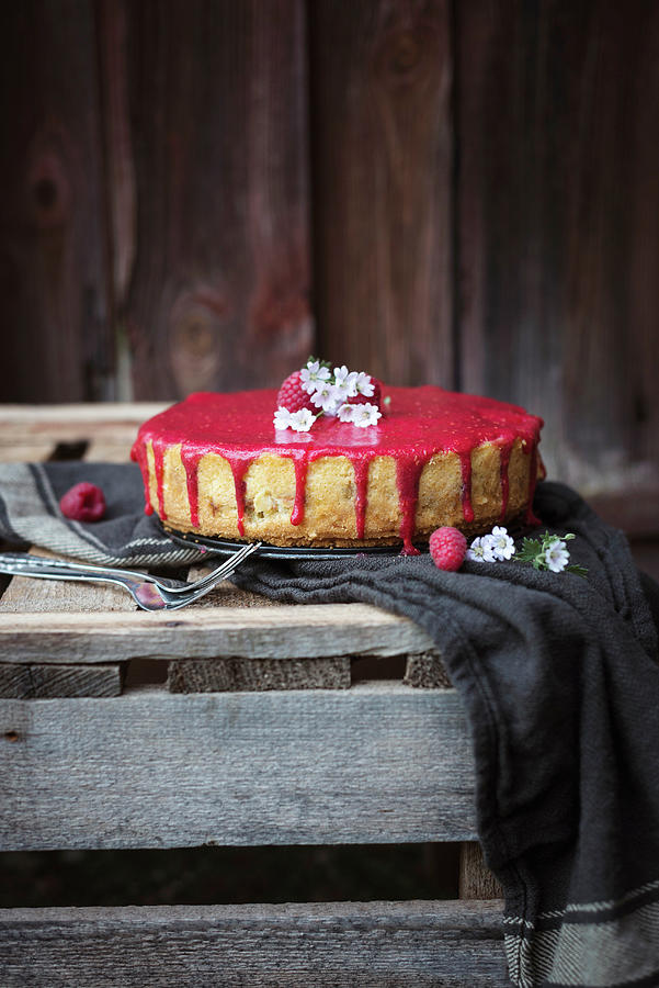 Vegan Cake With Pudding And Rhubarb Filling And Raspberry Sauce Photograph by Kati Neudert