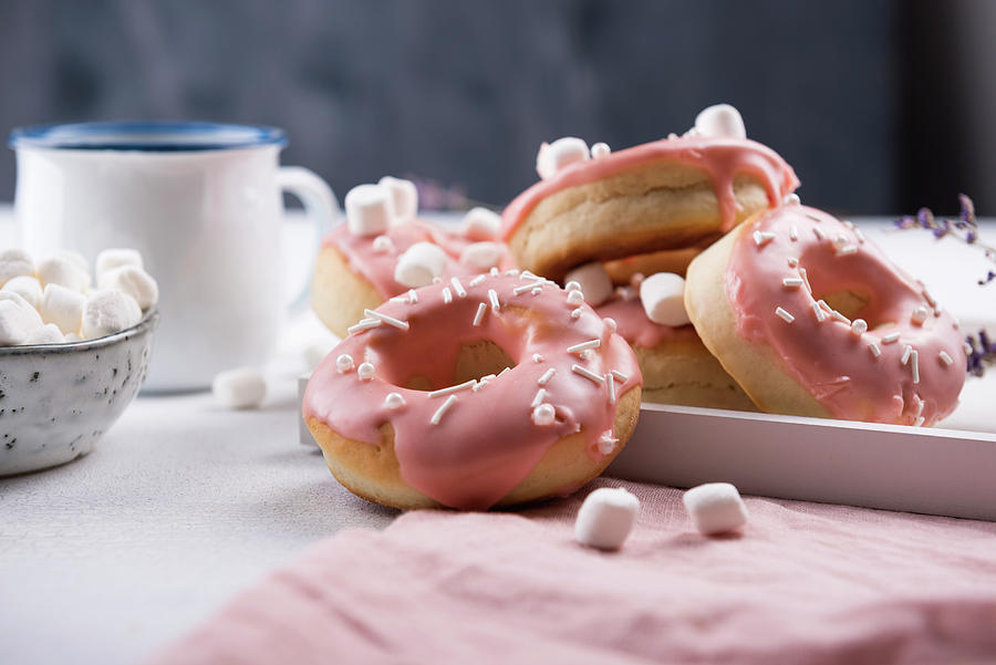 Vegan Doughnuts With Icing, Sprinkles And Marshmallows Photograph by Kati Neudert