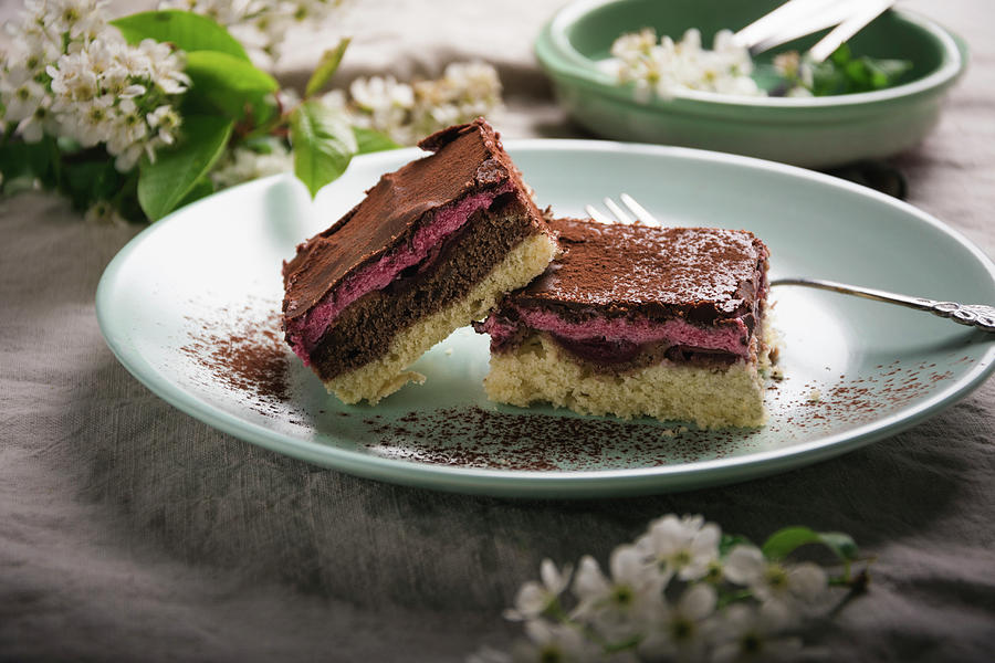 Vegan Tray Bake Cake With A Vanilla And Chocolate Base, Sour Cherries, Sour Cherry Cream And Dark Chocolate Glaze Photograph by Kati Neudert