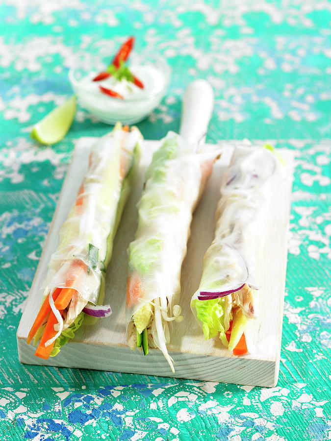 Vegetable Spring Rolls Photograph by Lawton