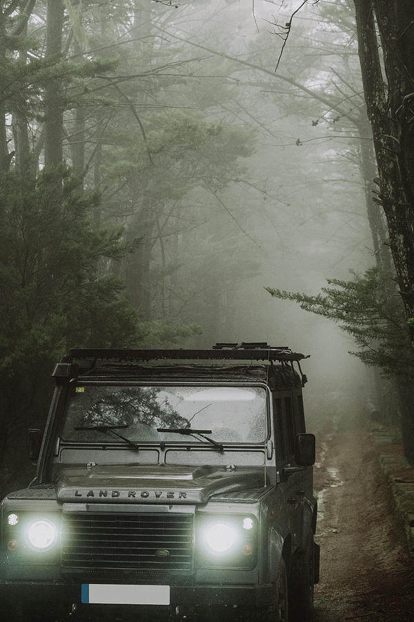 Car Photograph - Vehicle Amidst Foggy Forest, Tenerife by Sergio Villalba