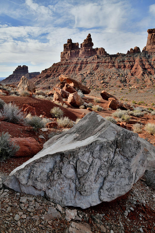 Veined Boulder in Valley of the Gods Photograph by Ray Mathis