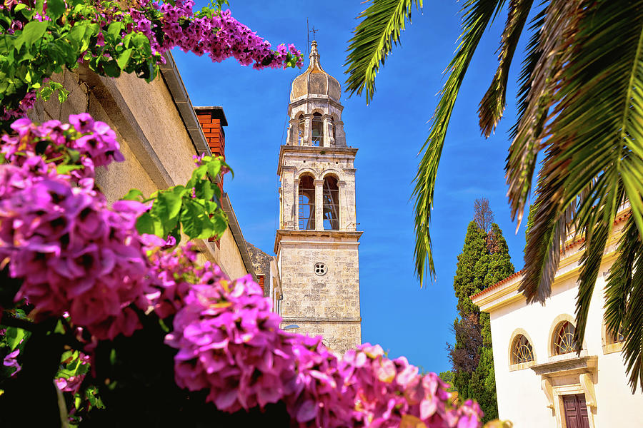 Vela Luka Town of Vela Luka on Korcula island church tower and  Photograph by Brch Photography