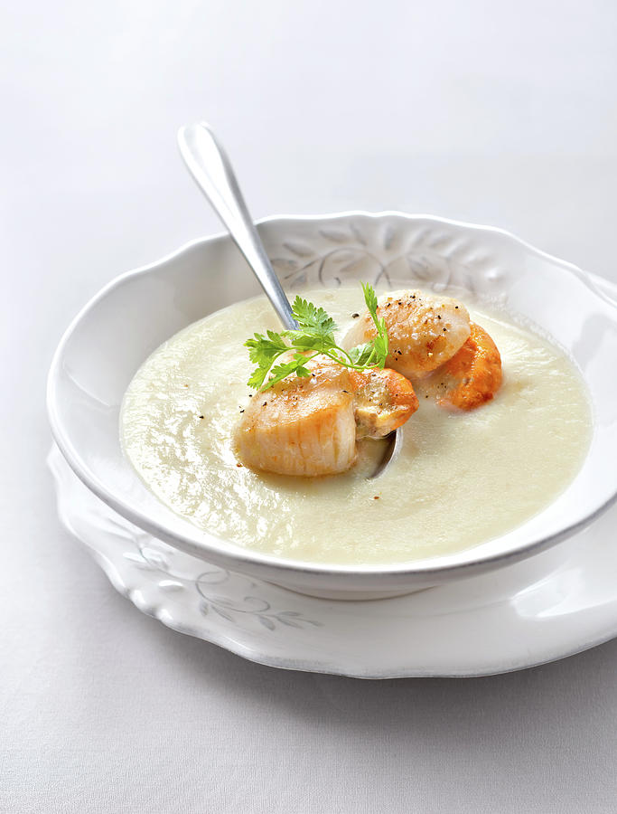 Veloute De Celeri Aux Noix De Saint-jacques Cream Of Celeriac Soup With ...