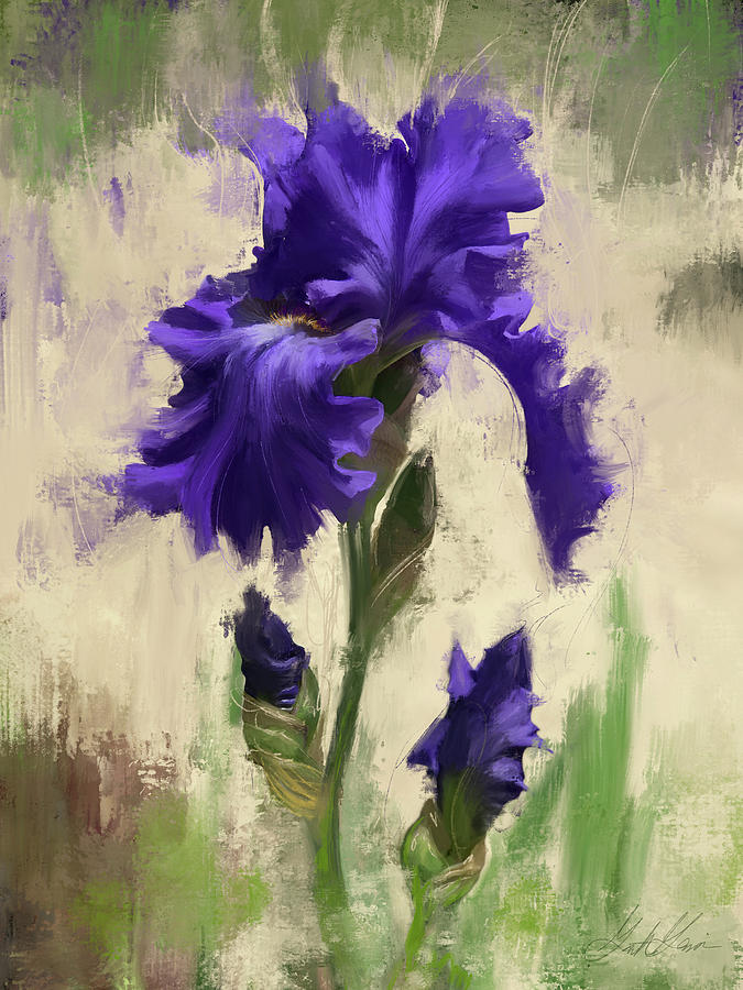 Iris Digital Art - Velvet Beauty by Garth Glazier