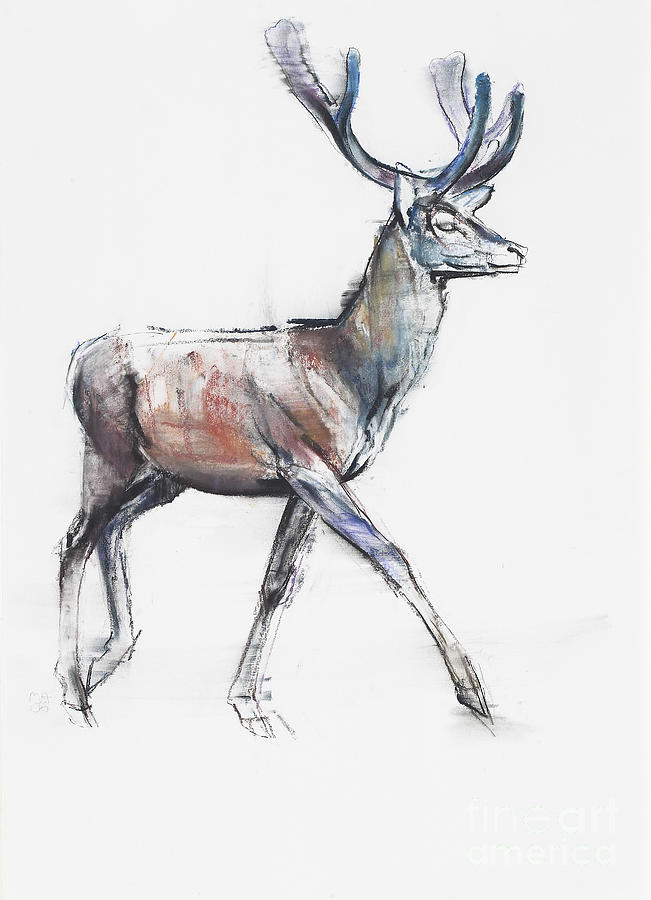 Velvet, Charcoal And Conte On Paper Painting by Mark Adlington