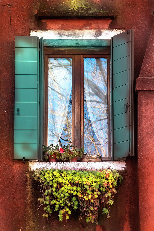 Venecian Window Photograph by Harriet Feagin