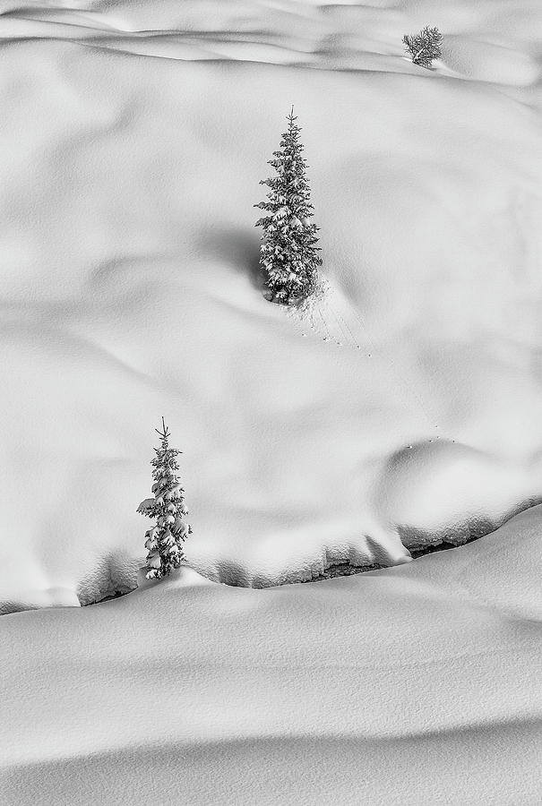 Veneto, Julian Alps, Snow, Italy Digital Art by Anne Maenurm