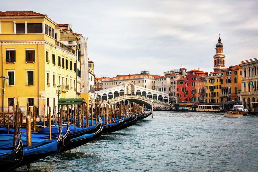 Venice and The Rialto  Photograph by Harriet Feagin
