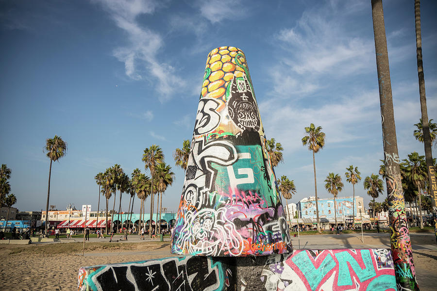 Venice Beach Art Photograph by John McGraw