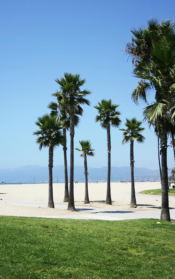 Venice Beach, California Photograph by Lpettet