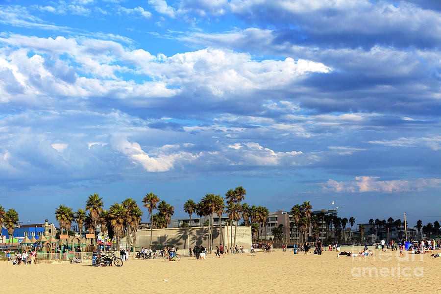 Venice Beach Day Los Angeles Photograph by John Rizzuto