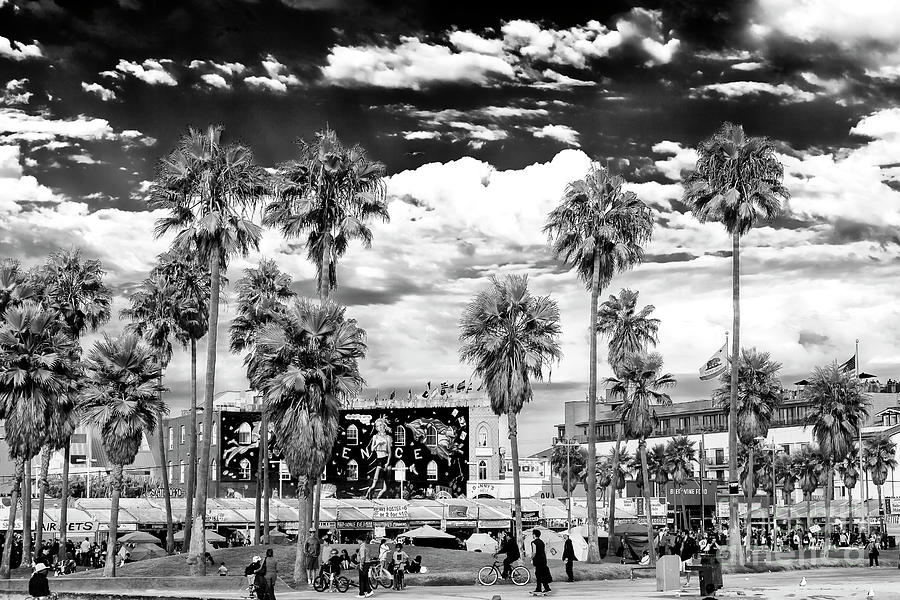 Venice Beach Daze Photograph by John Rizzuto