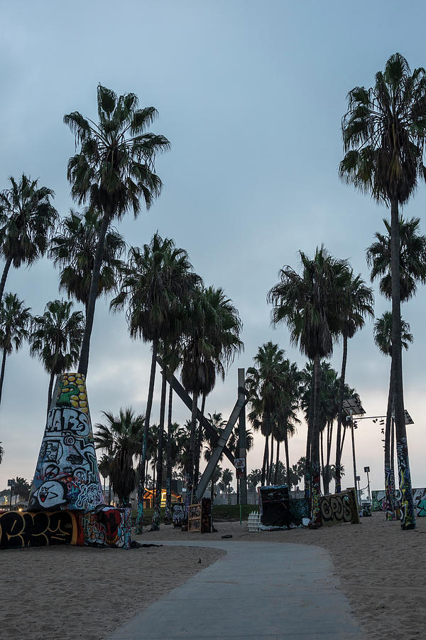 Venice Beach PAth in Morning  Photograph by John McGraw