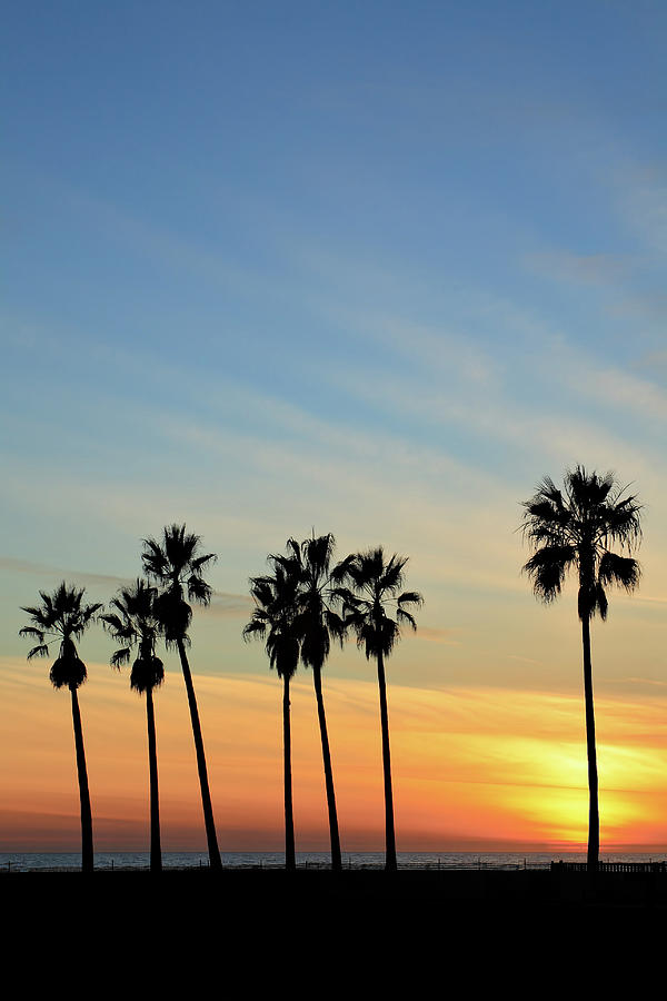 Venice Beach Sunset Photograph by S. Greg Panosian