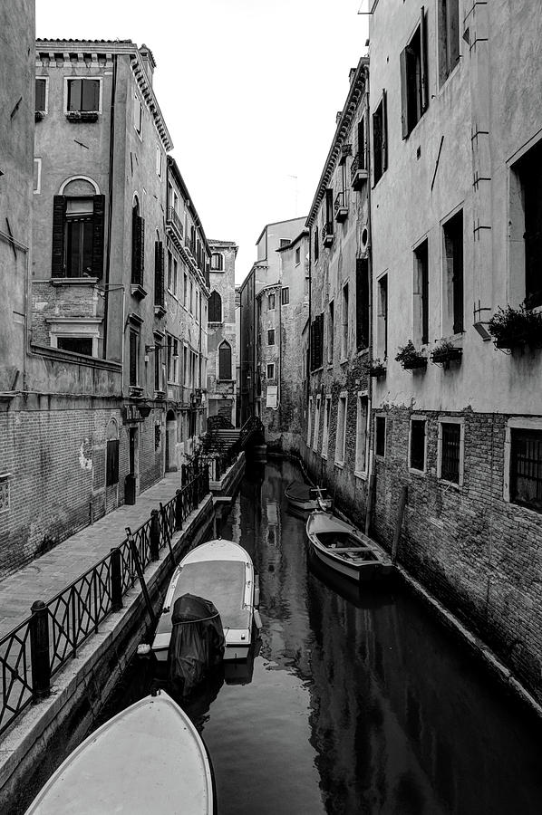 Venice Photograph by Rebekah Zivicki