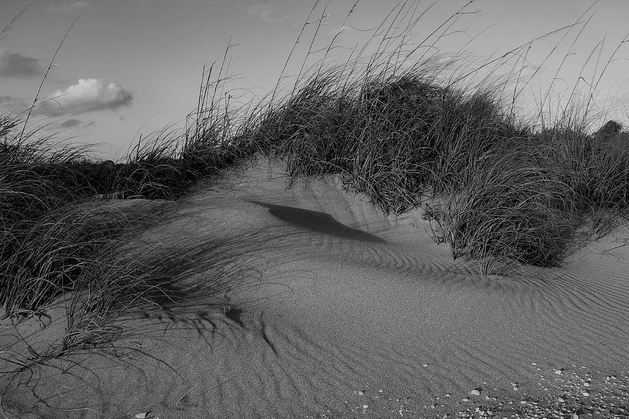 Venice Sand Dunes Photograph by Robert Wilder Jr