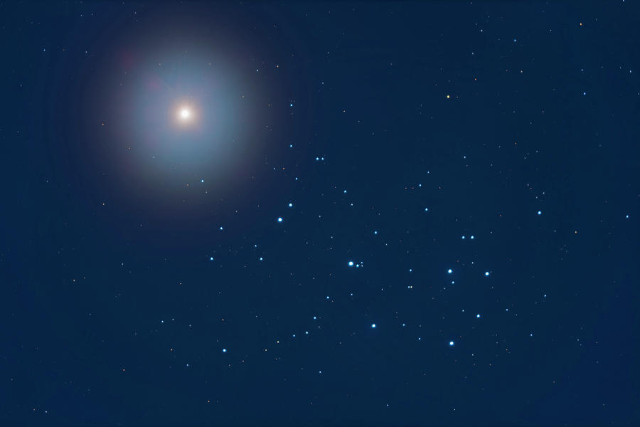 Venus Above The Pleiades Star Cluster Photograph by Alan Dyer