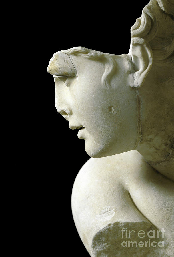 Venus Crouching, Detail Sculpture by Greek School