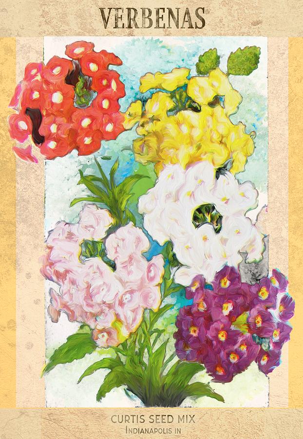 Verbena Seed Packet Drawing by Unknown