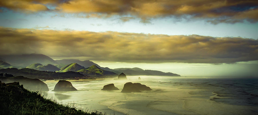 Verdant Coast Photograph by Don Schwartz