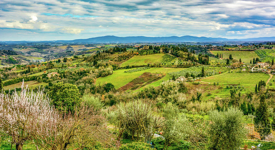 Verdant Tuscan Springtime Photograph by Marcy Wielfaert