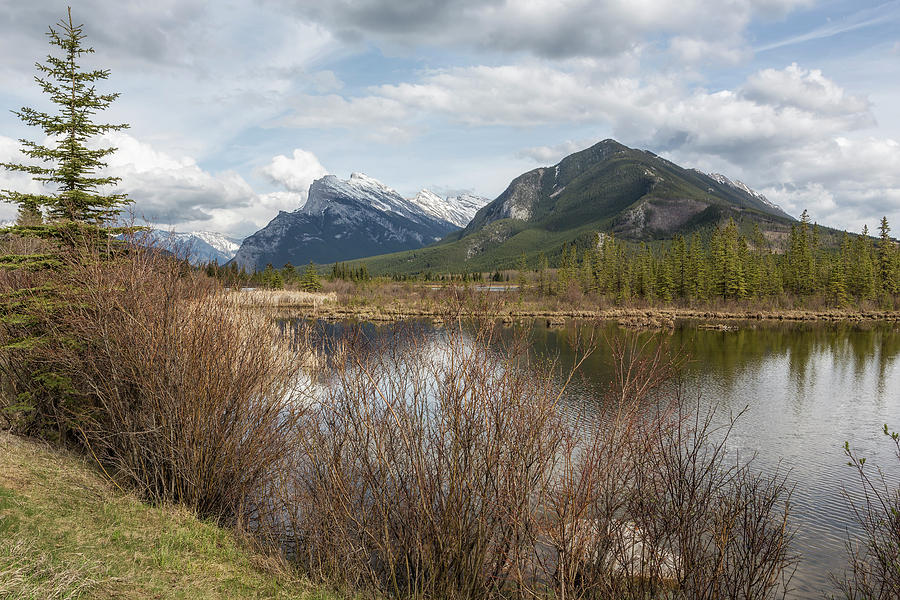 Vermilion Lakes, No. 3 by Belinda Greb Vermilion Lakes, No. 3 by Belinda Greb