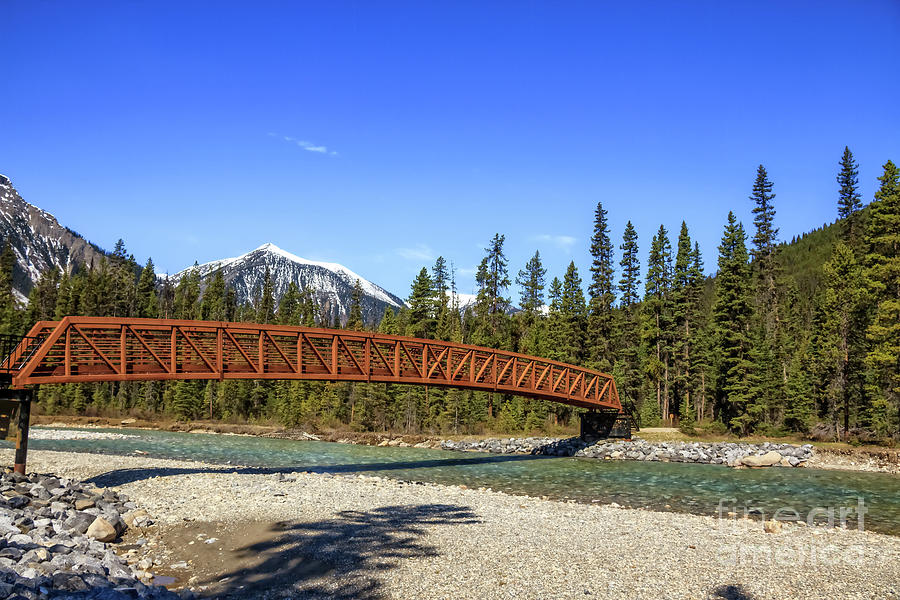Banff National Park Photograph - Vermilion River Bridge by Robert Bales