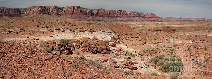 Vermillion Cliffs of Northern Arizona Photograph by Garry McMichael