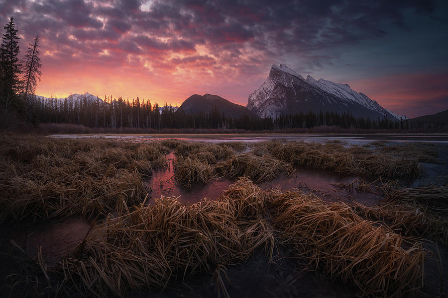 Banff National Park Photograph - Vermillion Dawn by Carlos F. Turienzo