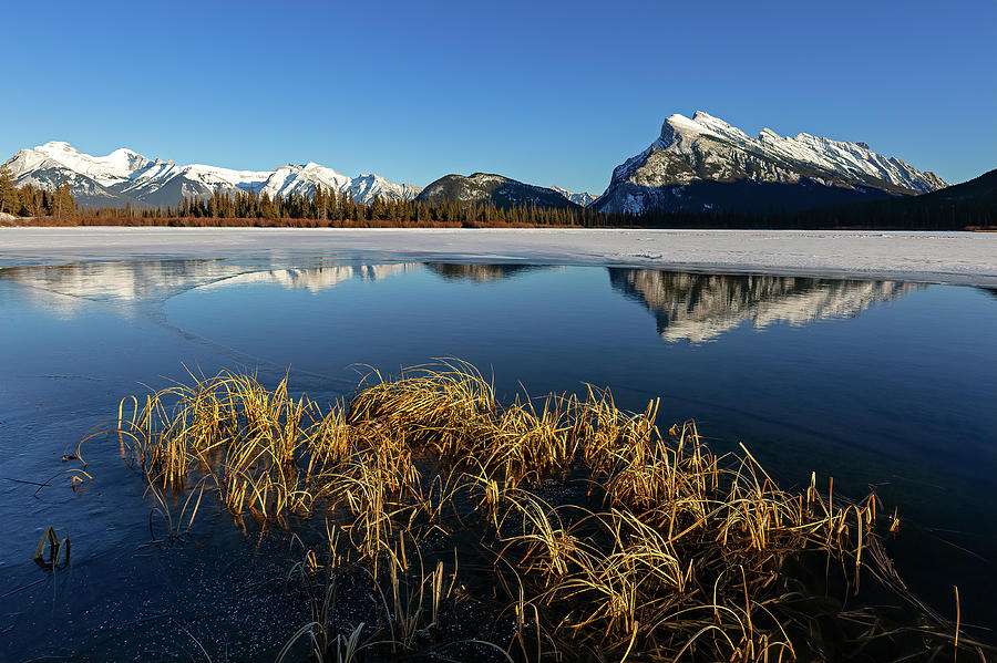 Vermillion Lakes Winter View Photograph by Jack Bell