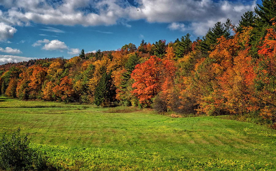 Vermont Autumn Colors Photograph by Tom Singleton