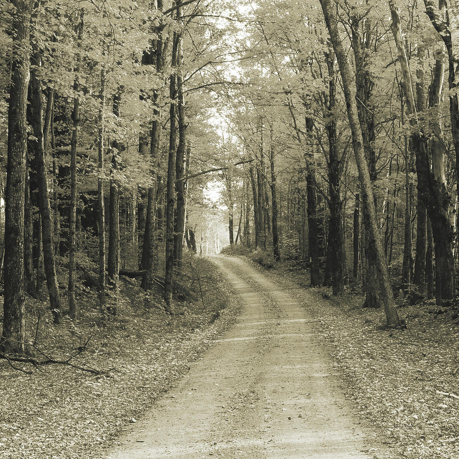 Abstract Photograph - Vermont Country Road Sepia Crop by Alan Majchrowicz