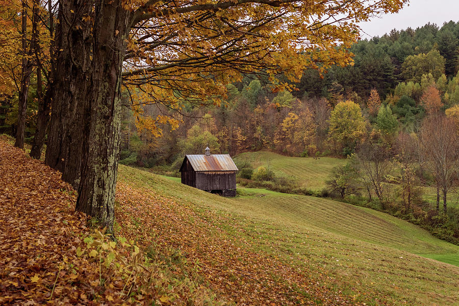 Vermont Countryside Autumn 2018 Photograph by Terry DeLuco
