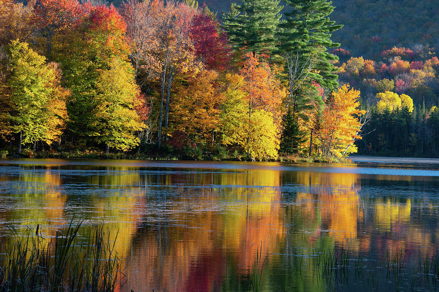 Vermont Fall Colors Reflection 4 Photograph by Lynda Fowler Fine Art