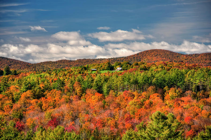 Fall Scenes Photograph - Vermont Fall Foliage  by Joann Vitali