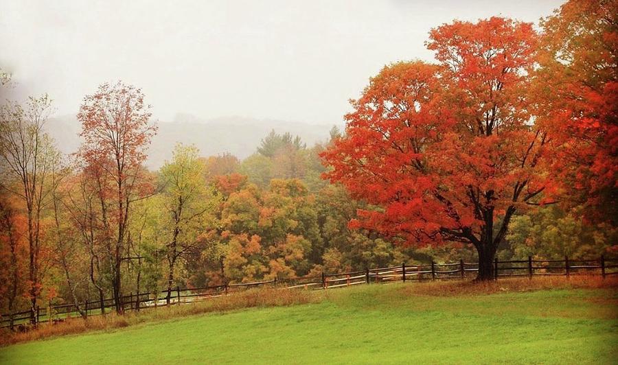 Landscape Photograph - Vermont Fall by Sue Hallett