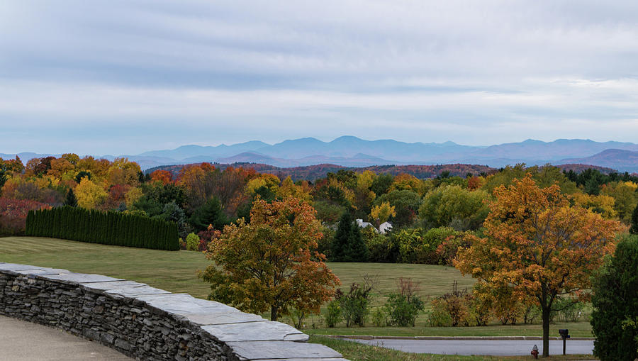 Vermont foliage view Photograph by Ann Moore