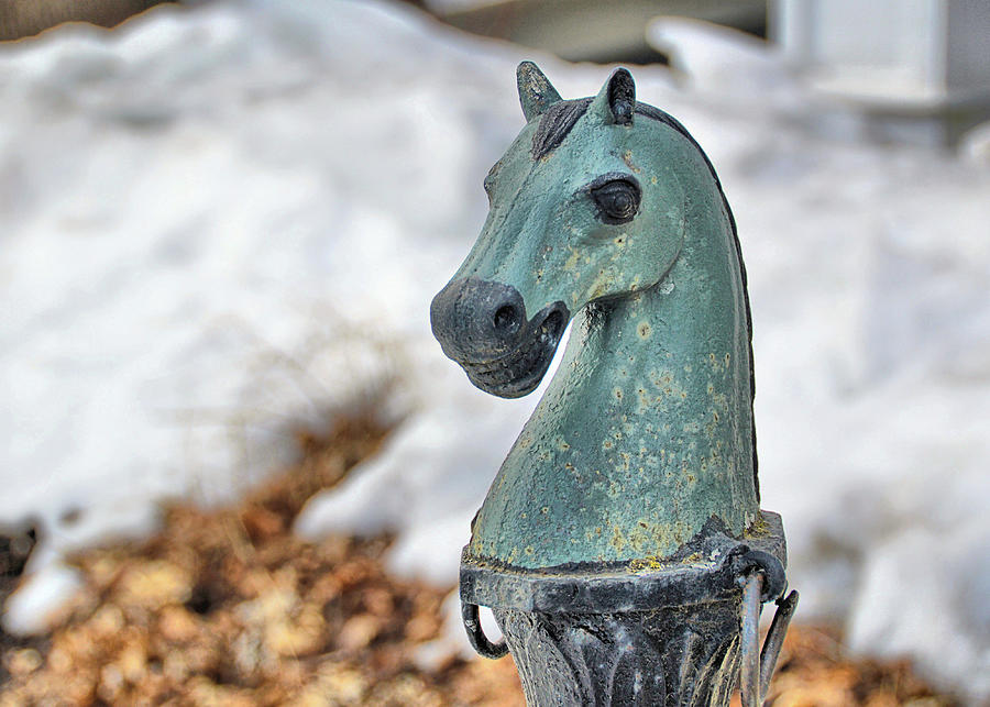 Vermont Hitching Post Photograph by Dressage Design