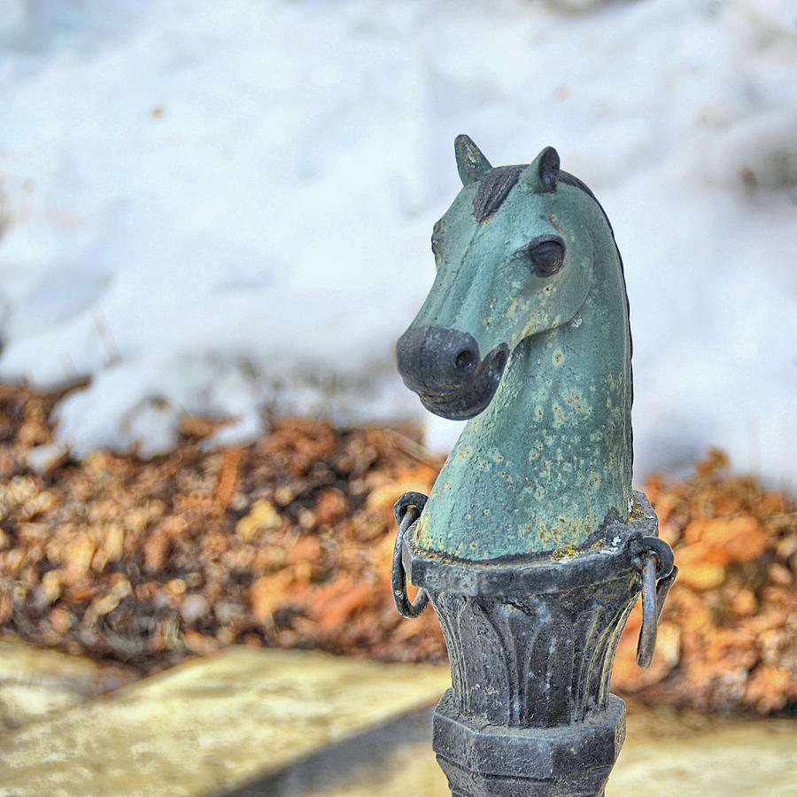 Vermont Hitching Post  Photograph by JAMART Photography